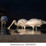 雷火剑动漫在线观看资源:畅享高清动漫,尽在这里! 3l0qt60yj8