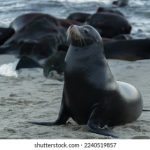 雷火剑官网入口:探索全新游戏世界,畅享无限乐趣与挑战 42f8t9m