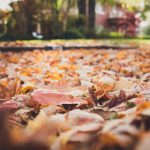 雷火剑动画免费播放:畅享热血冒险的精彩旅程 lw3r7ne